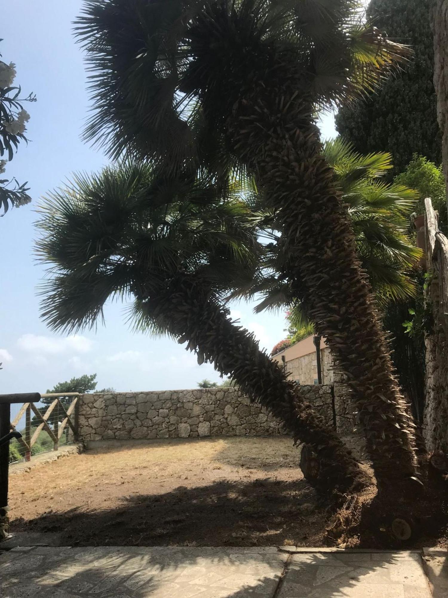 La Cita Ca - Vista Mare Apartment Finale Ligure Bagian luar foto